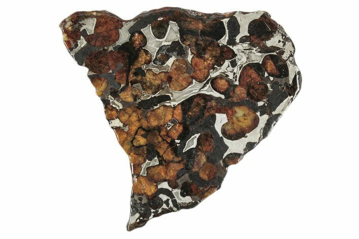Sericho Pallasite Meteorite ( g) Slice - Kenya #346471